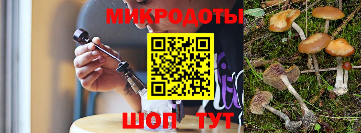 Псилоцибиновые грибы Cubensis Красноармейск