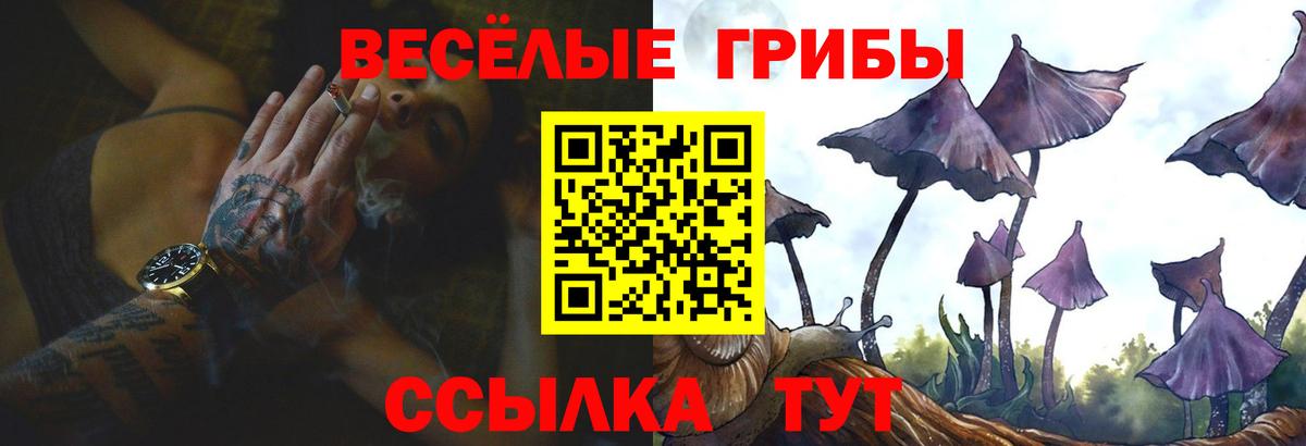 Красноармейск  Псилоцибиновые грибы Psilocybine cubensis  Псилоцибиновые грибы Cubensis  Вход с VPN 